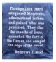 Discount Real T-Shirts Wholesale