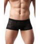 Sandbank Panties Underwear Sheer Boxer