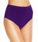 Miraclesuit Swimsuit Bikini Bottom Eggplant