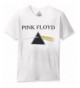 Pink Floyd Various Graphic T Shirt