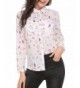 ThinIce Sleeve Chiffon Button Blouse