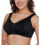 Fashion Women's Bras Online Sale