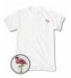 Riot Society Flamingo Embroidered T Shirt