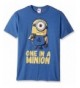 Despicable Me Minions Million Graphic